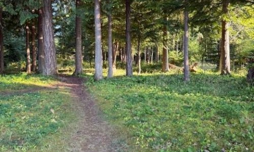 #459 Hoylake Rd W Qualicum Beach, British Columbia V9K1J5