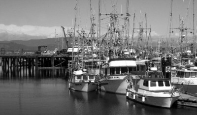French Creek & Parksville